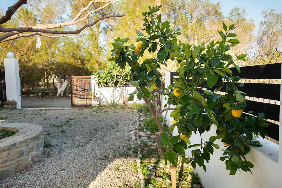 Afrathias Beachhouse - Cretan Hideaway 卡拉马基 外观 照片